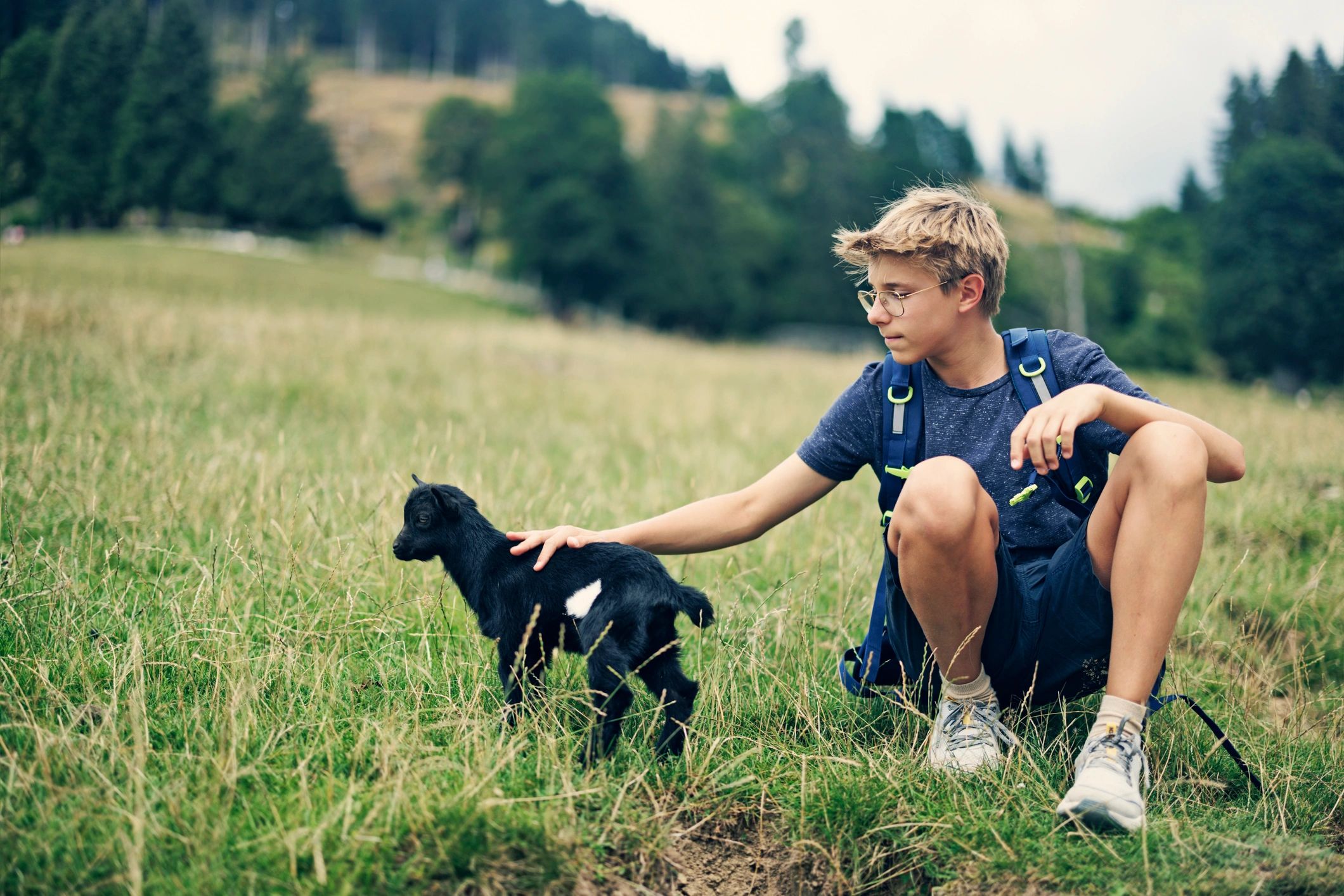 Young person gently interacting with a goat outdoors