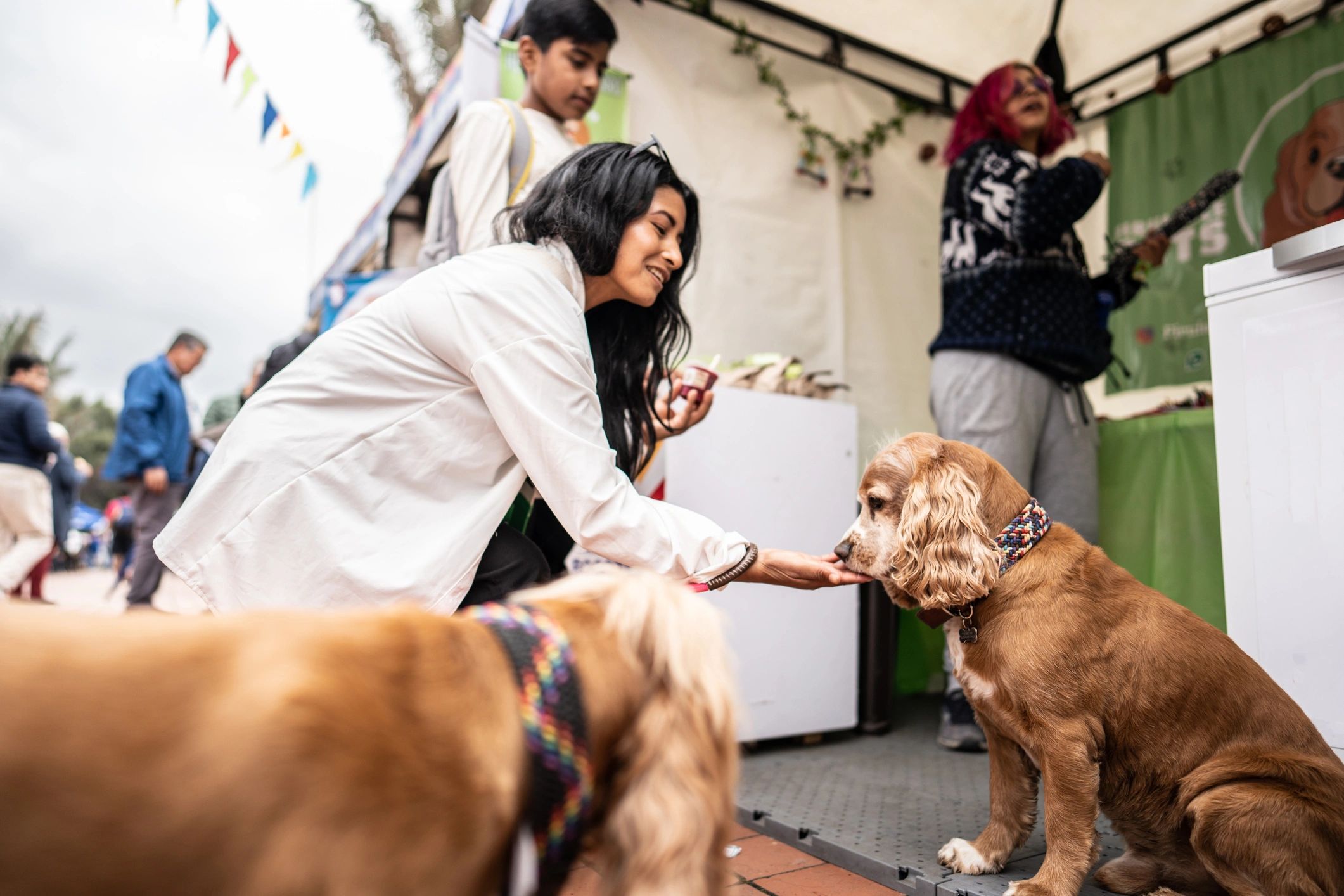Outdoor animal care activity