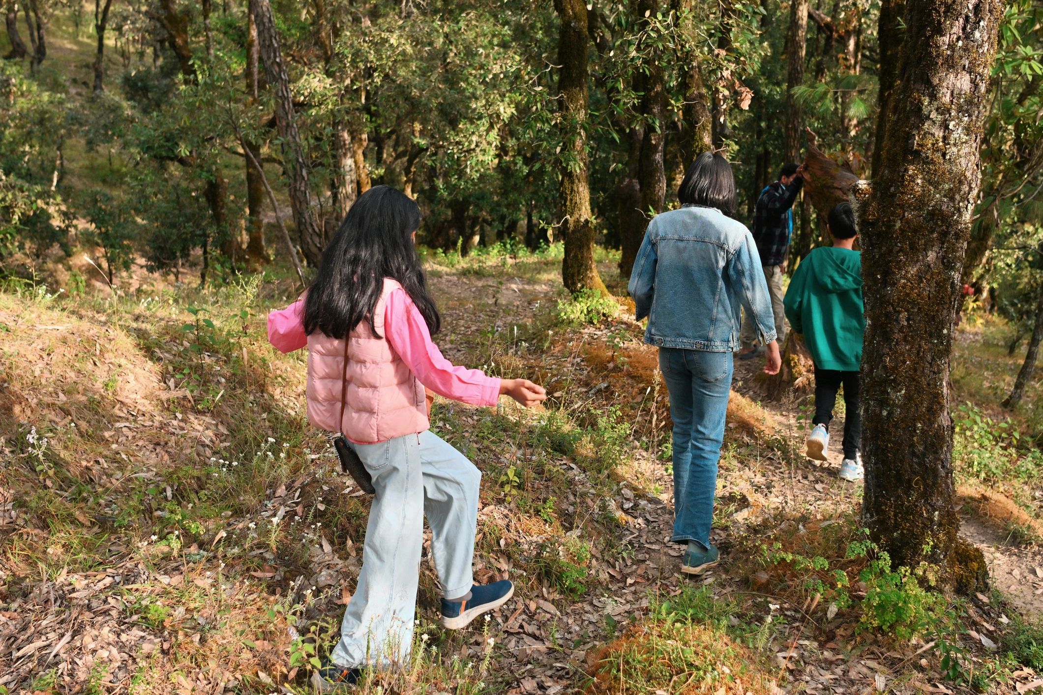 Young people exploring a woodland trail together