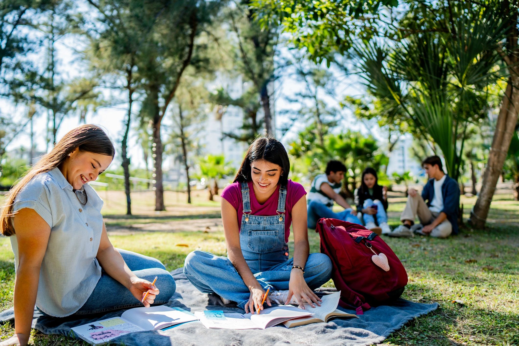 Young people learning together in a park